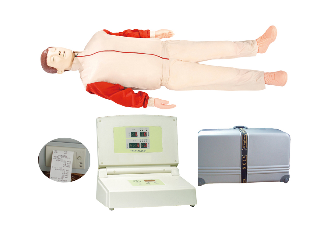 ZR/CPR380߼ʾԶķθģ