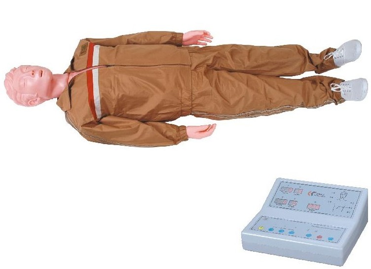 ZR/CPR300߼ȫԶķθģ